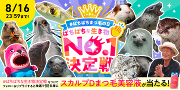 8月8日「ぱちぱちまつ毛の日」に異色コラボが実現！！全国各地の"ぱちぱちな生き物"たちが大集合！スカルプDまつ毛美容液×全国8か所の動物園・水族館「ぱちぱちな生き物No.１決定戦」開催