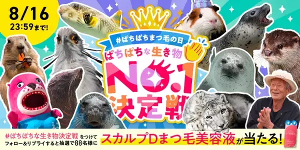 8月8日「ぱちぱちまつ毛の日」に異色コラボが実現！！全国各地の"ぱちぱちな生き物"たちが大集合！スカルプDまつ毛美容液×全国8か所の動物園・水族館「ぱちぱちな生き物No.１決定戦」開催