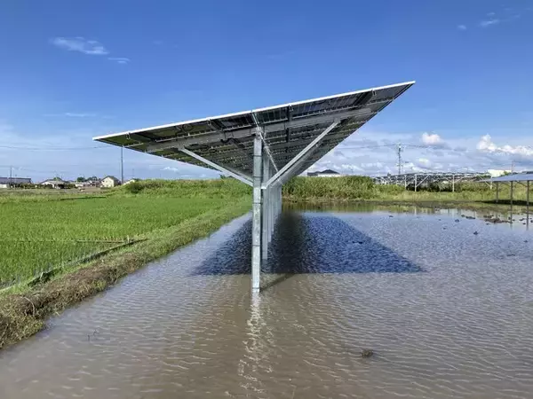 ソーラーシェアリングのスマートブルー、ヤンマーホールディングスが米原市において進める営農型太陽光発電事業を受注