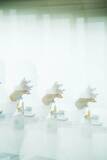 「INTERVIEW：Cornelius AIと身体性。小山田圭吾が語る『Refractions』」の画像6