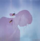 「ブラック・カントリー・ニュー・ロード待望のジャパンツアーにIchiko Aobaと柳瀬白瀬がゲストアクトとして出演」の画像3