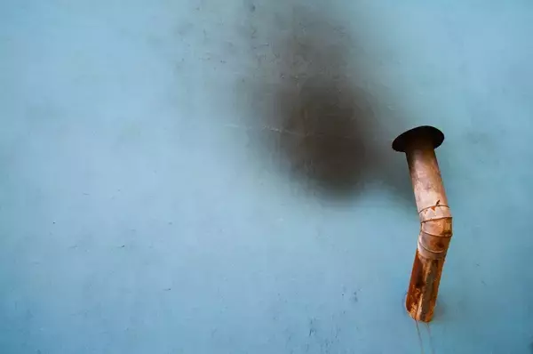 「〈Supreme〉など著名ブランドとの協業でも知られる写真家 クリス・ローズが⽇本国内初個展を開催」の画像