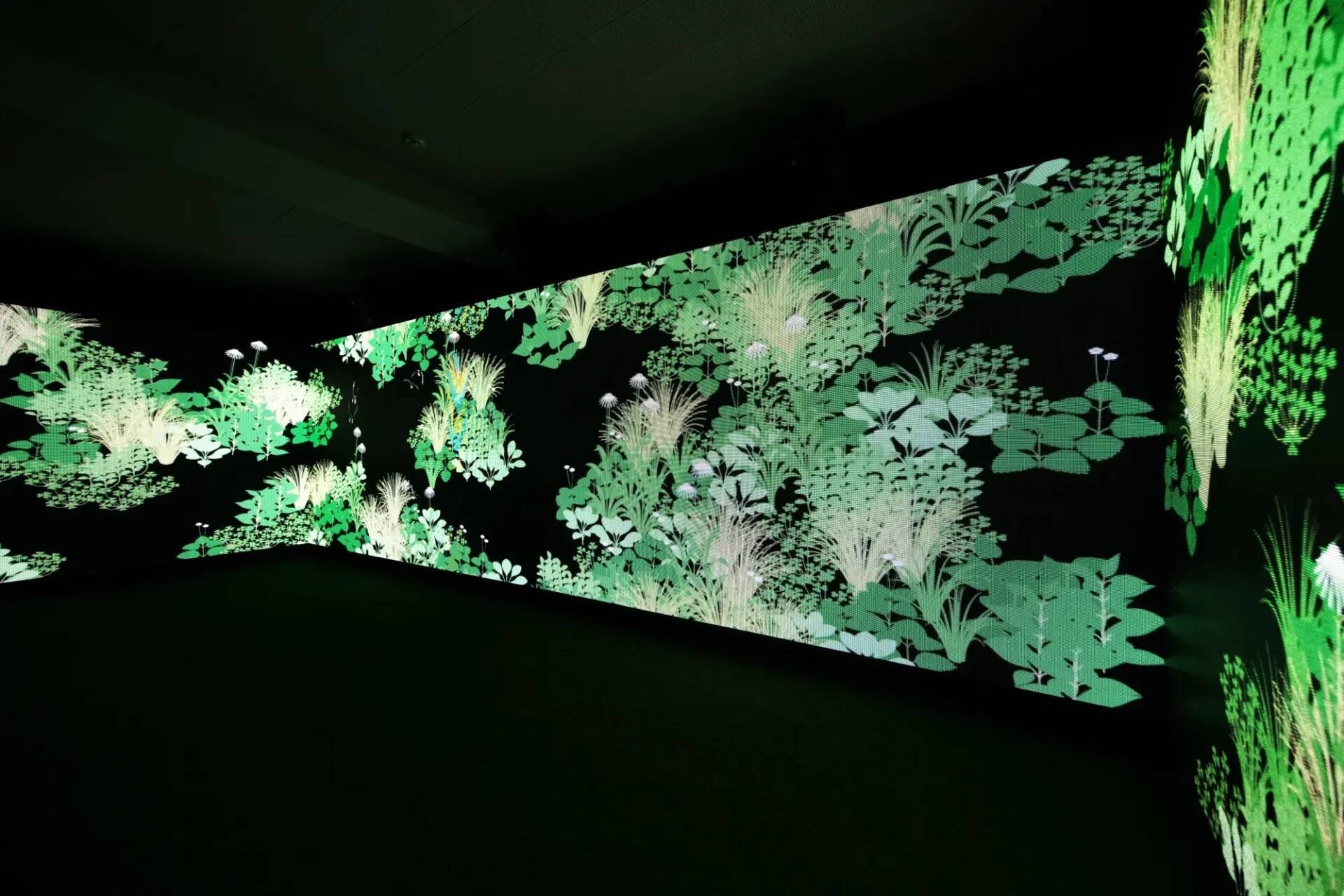 京都から東京へ。AMBIENT KYOTOの新たな地平