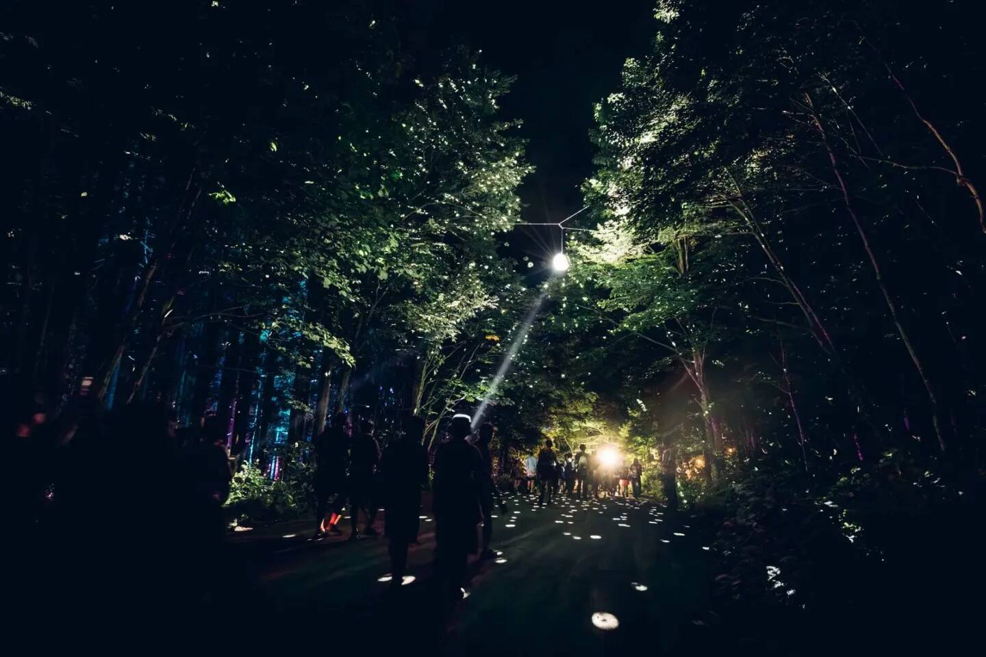 想定外が、最高の思い出になる ──＜FUJI ROCK FESTIVAL ’26＞総括レポート