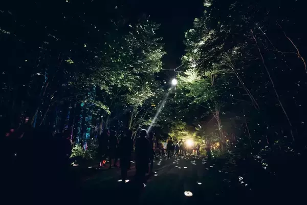 「想定外が、最高の思い出になる ──＜FUJI ROCK FESTIVAL ’26＞総括レポート」の画像