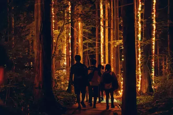 「想定外が、最高の思い出になる ──＜FUJI ROCK FESTIVAL ’26＞総括レポート」の画像
