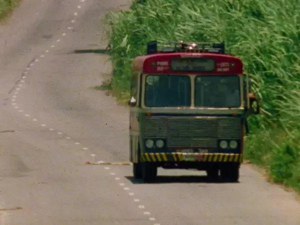 「ボブ・マーリー、伝説となった母国ジャマイカでのラストライブを映像化したライブ・ドキュメンタリーが来年2月に公開｜予告映像と場面写真が解禁」の画像