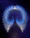 「ビョークのクリエイティヴを彩るプロフェッショナル ── James Merryインタビュー〜菅野薫・secca上町達也対談」の画像16