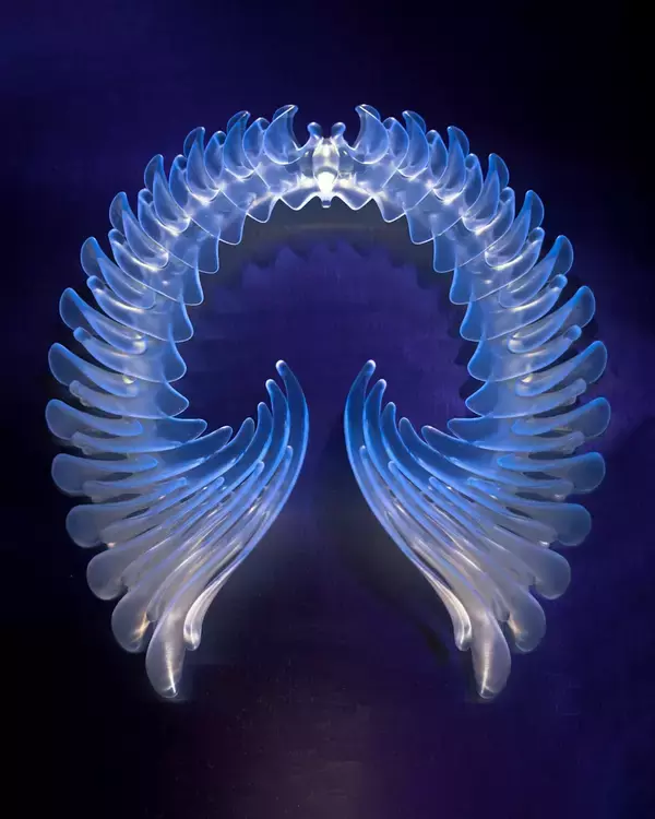 「ビョークのクリエイティヴを彩るプロフェッショナル ── James Merryインタビュー〜菅野薫・secca上町達也対談」の画像