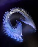 「ビョークのクリエイティヴを彩るプロフェッショナル ── James Merryインタビュー〜菅野薫・secca上町達也対談」の画像17