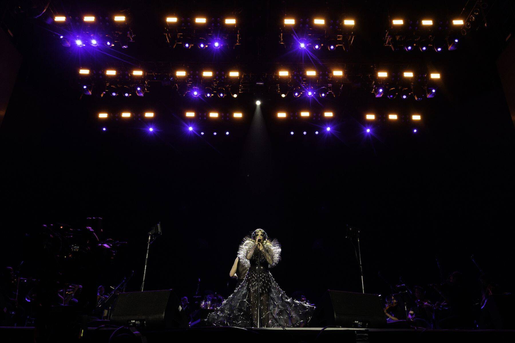 ビョークのクリエイティヴを彩るプロフェッショナル ── James Merryインタビュー〜菅野薫・secca上町達也対談