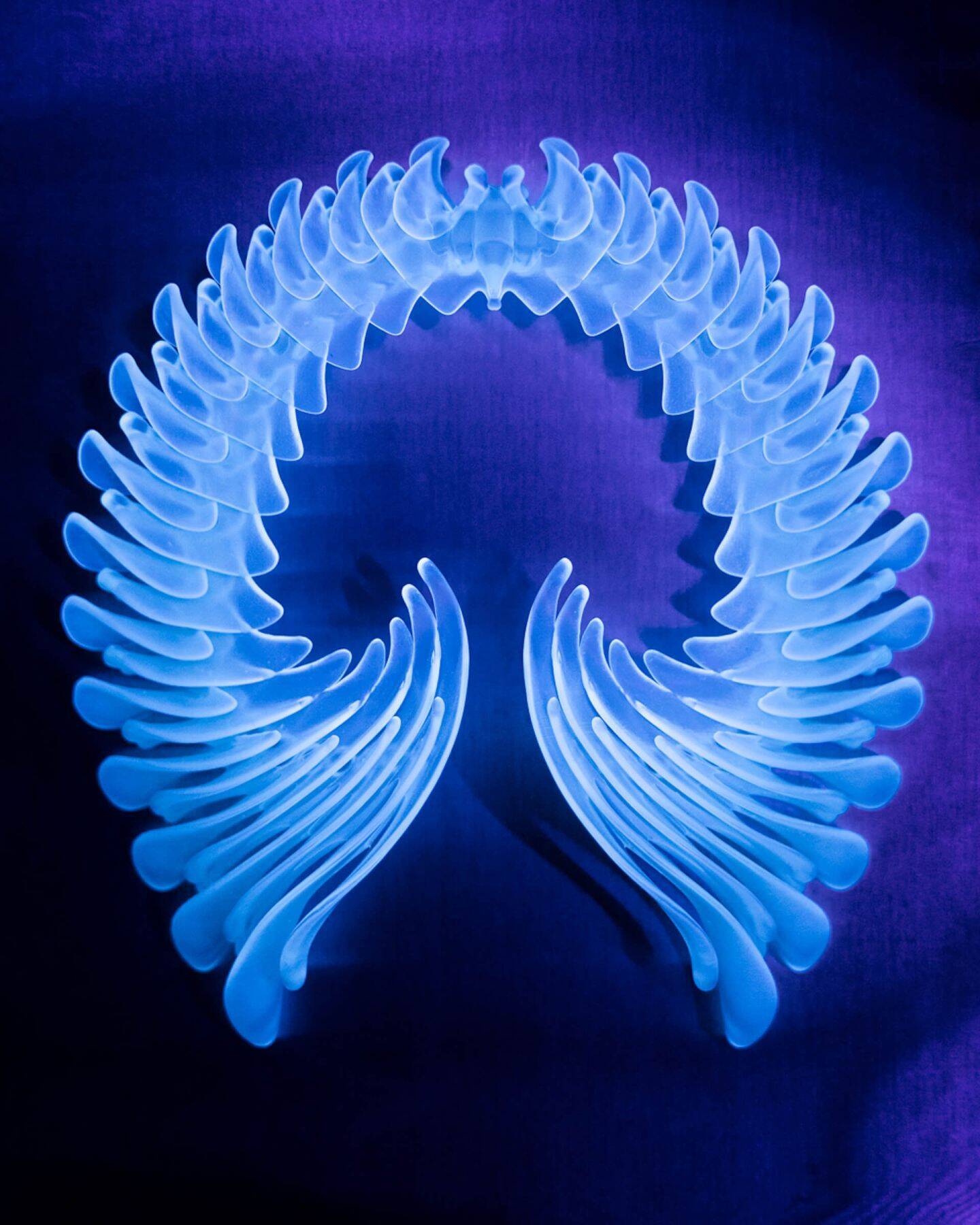 ビョークのクリエイティヴを彩るプロフェッショナル ── James Merryインタビュー〜菅野薫・secca上町達也対談