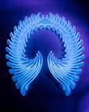 「ビョークのクリエイティヴを彩るプロフェッショナル ── James Merryインタビュー〜菅野薫・secca上町達也対談」の画像3