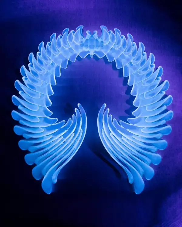 「ビョークのクリエイティヴを彩るプロフェッショナル ── James Merryインタビュー〜菅野薫・secca上町達也対談」の画像