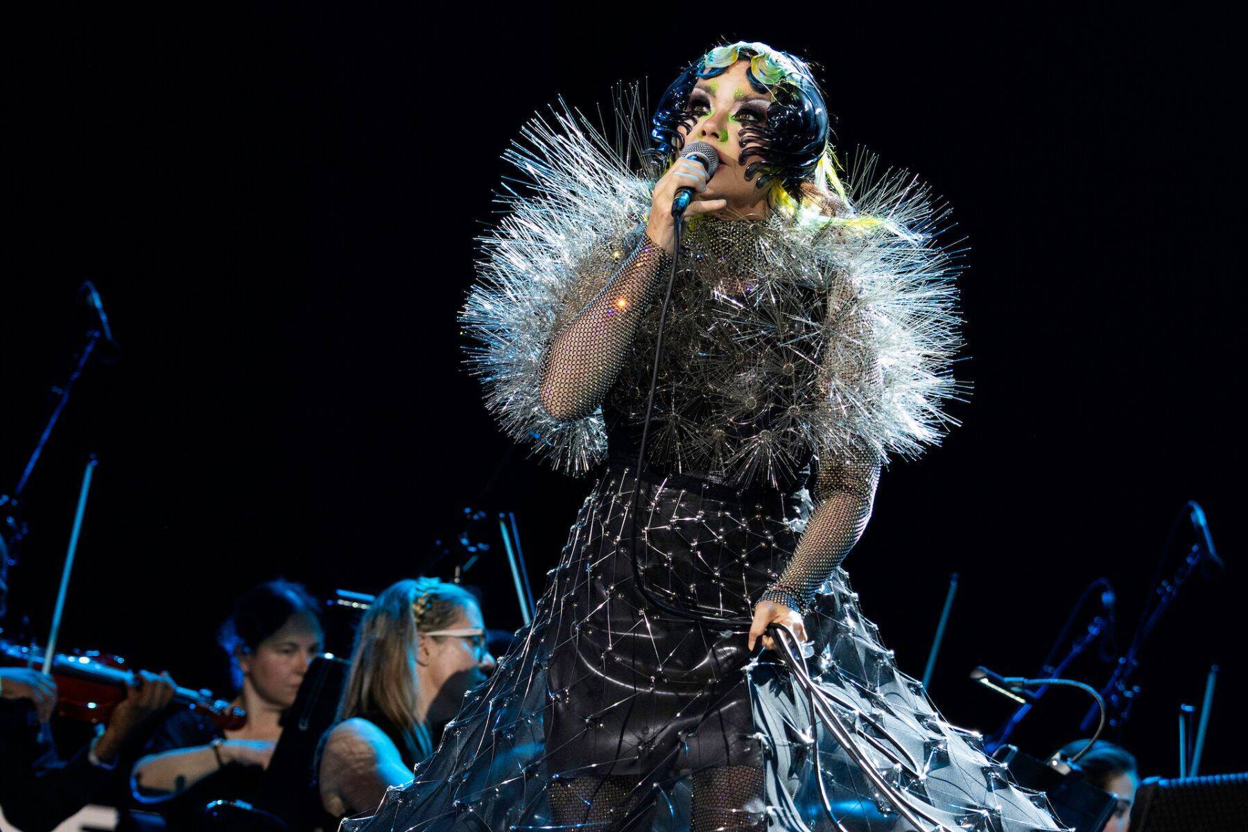 ビョークのクリエイティヴを彩るプロフェッショナル ── James Merryインタビュー〜菅野薫・secca上町達也対談