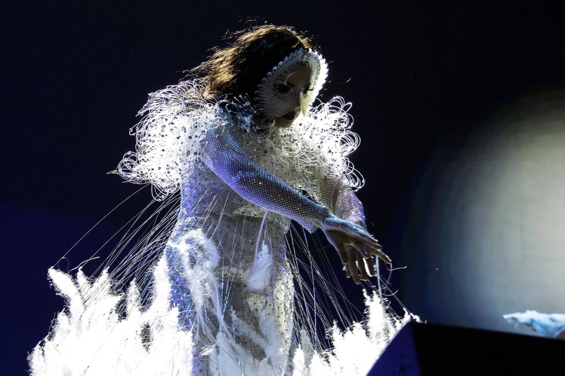 ビョークのクリエイティヴを彩るプロフェッショナル ── James Merryインタビュー〜菅野薫・secca上町達也対談