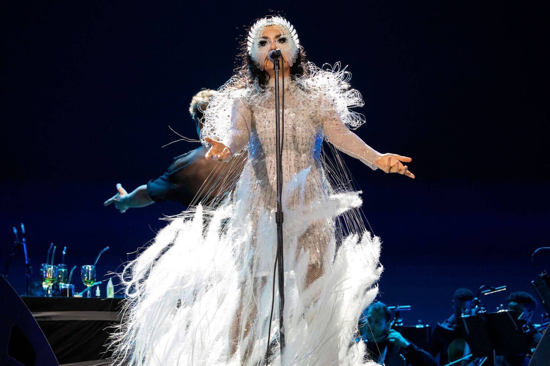 ビョークのクリエイティヴを彩るプロフェッショナル ── James Merryインタビュー〜菅野薫・secca上町達也対談