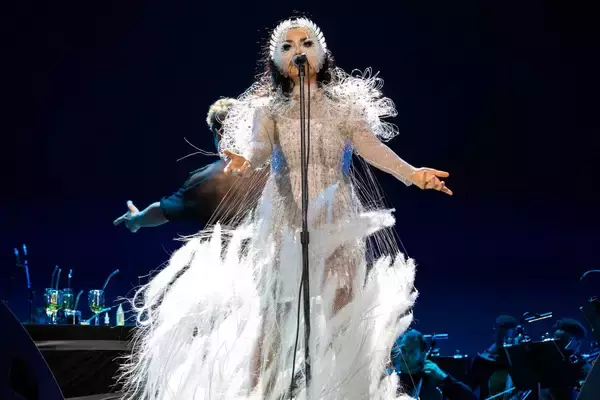 「ビョークのクリエイティヴを彩るプロフェッショナル ── James Merryインタビュー〜菅野薫・secca上町達也対談」の画像