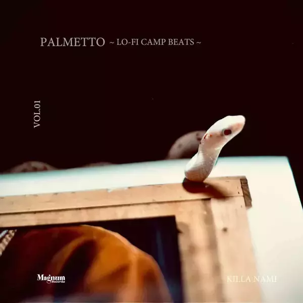 「〈Magnum Records〉のKilla Namiが焚き火の音をサンプリングしたビートテープ『PALMETTO 〜LO-FI CAMP BEATS〜 VOL.01』を発表」の画像