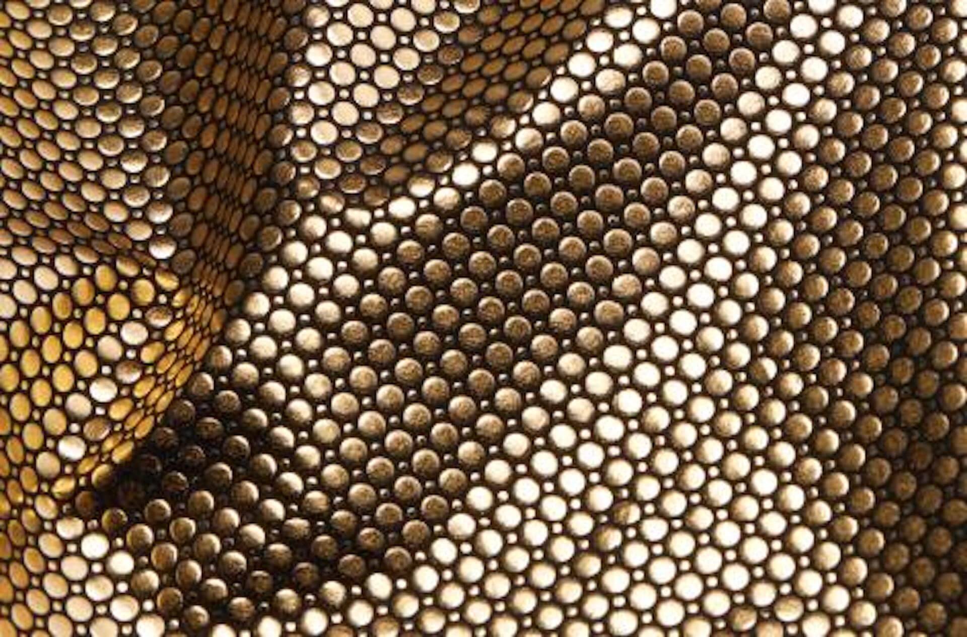 コロンビアが宇宙利活用プロジェクト「スペースデリバリープロジェクト-RETURN to EARTH-」第2弾に参加