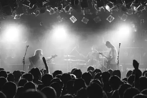 僕らがNikoんを好きなワケ Vol.01 ～ファン・インタビューから紐解くバンドの魅力～