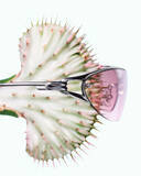 「〈GENTLE MONSTER〉がFKA twigsを起用した2026 BOUQUETコレクションのキャンペーンを公開」の画像2