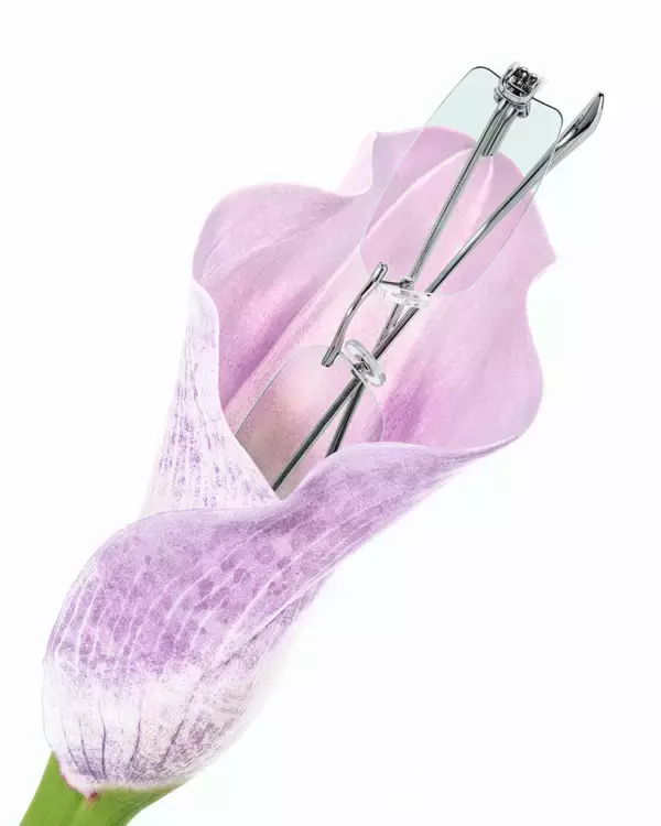 「〈GENTLE MONSTER〉がFKA twigsを起用した2026 BOUQUETコレクションのキャンペーンを公開」の画像