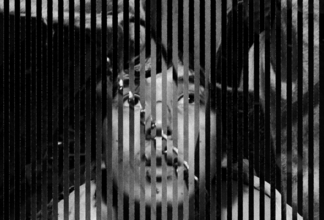 〈F-LAGSTUF-F〉がAge Factory、JUBEE、PALEDUSKを招いたスペシャルイベントを開催