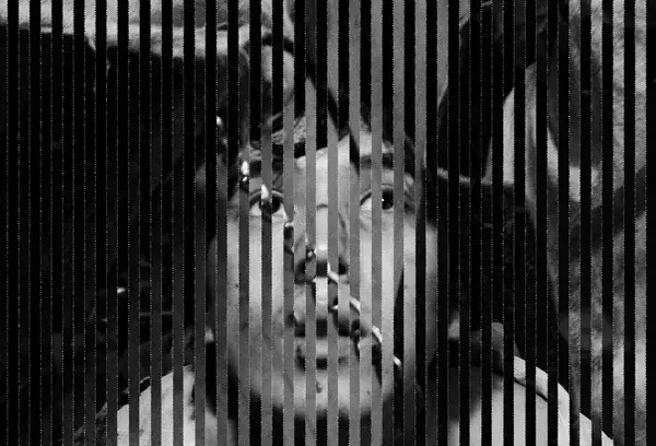 〈F-LAGSTUF-F〉がAge Factory、JUBEE、PALEDUSKを招いたスペシャルイベントを開催