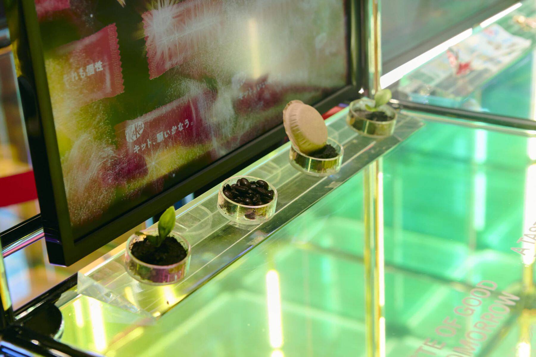 【INTERVIEW】大阪万博スイスパビリオンを彩る、音と光のセッション──江原彩子、畠山地平、安河内秀太による特別ライブの舞台裏