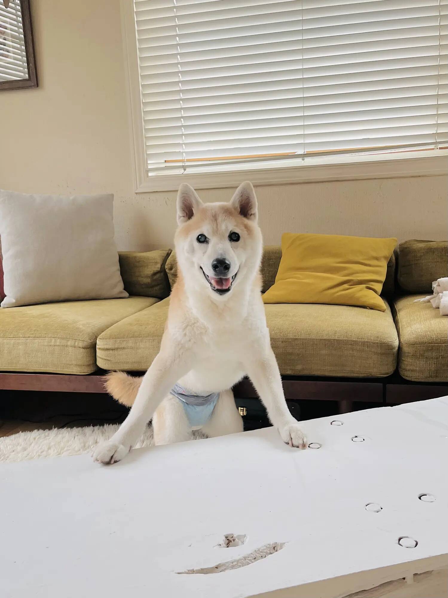 ‬曽我部恵一×黒田隆憲｜『きみがぼくになるまで』出版記念対談