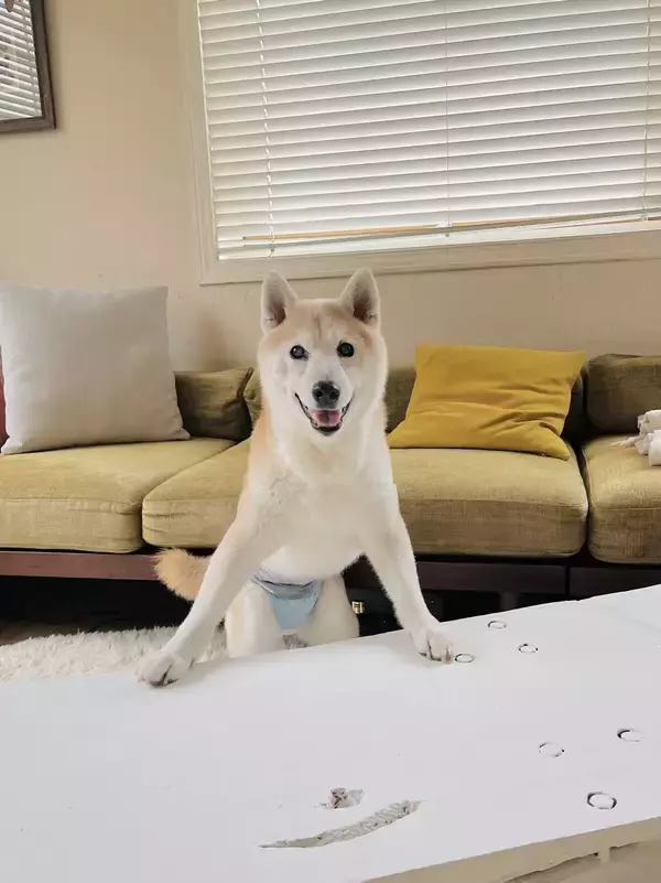 「‬曽我部恵一×黒田隆憲｜『きみがぼくになるまで』出版記念対談」の画像