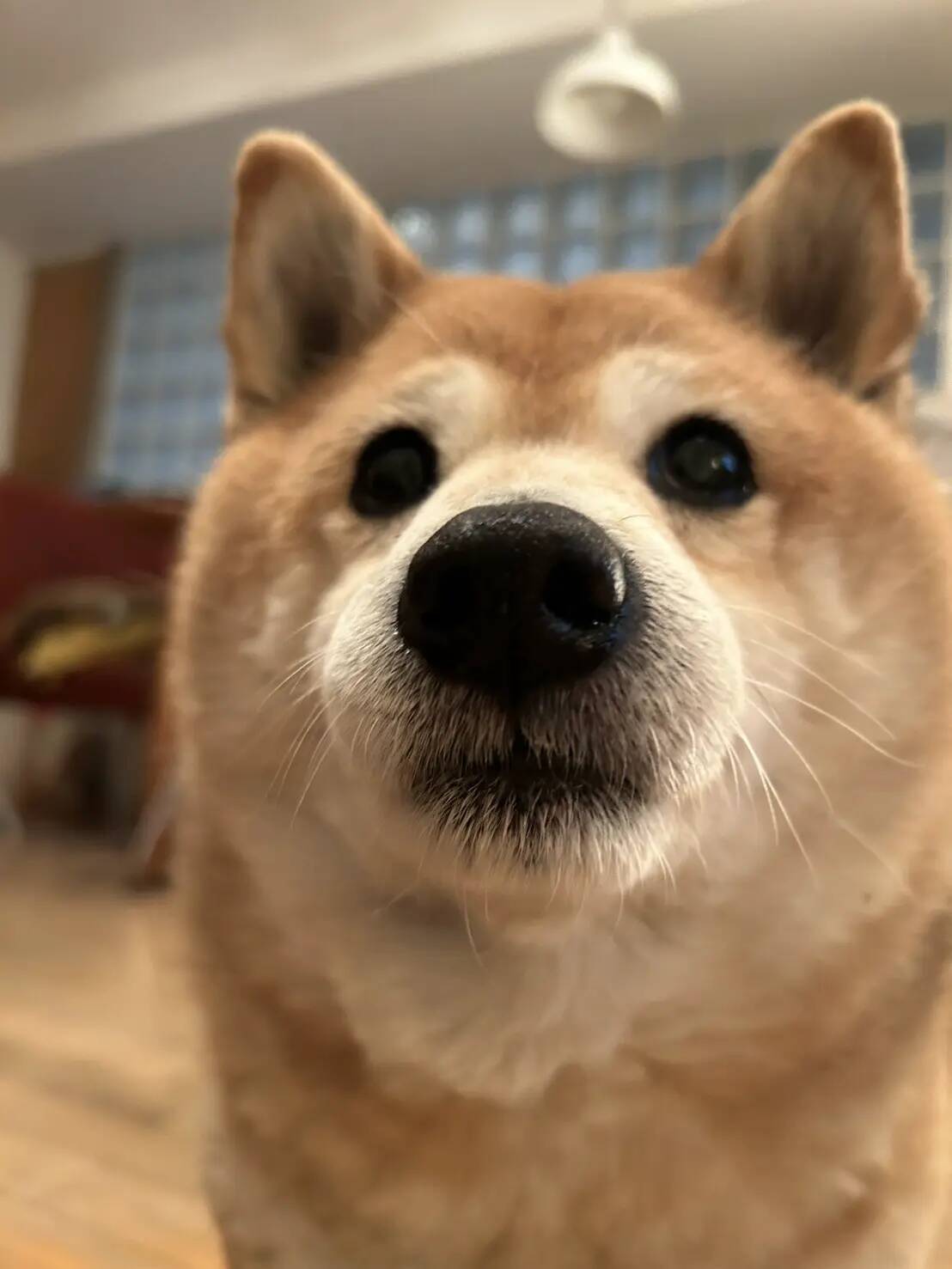 ‬曽我部恵一×黒田隆憲｜『きみがぼくになるまで』出版記念対談