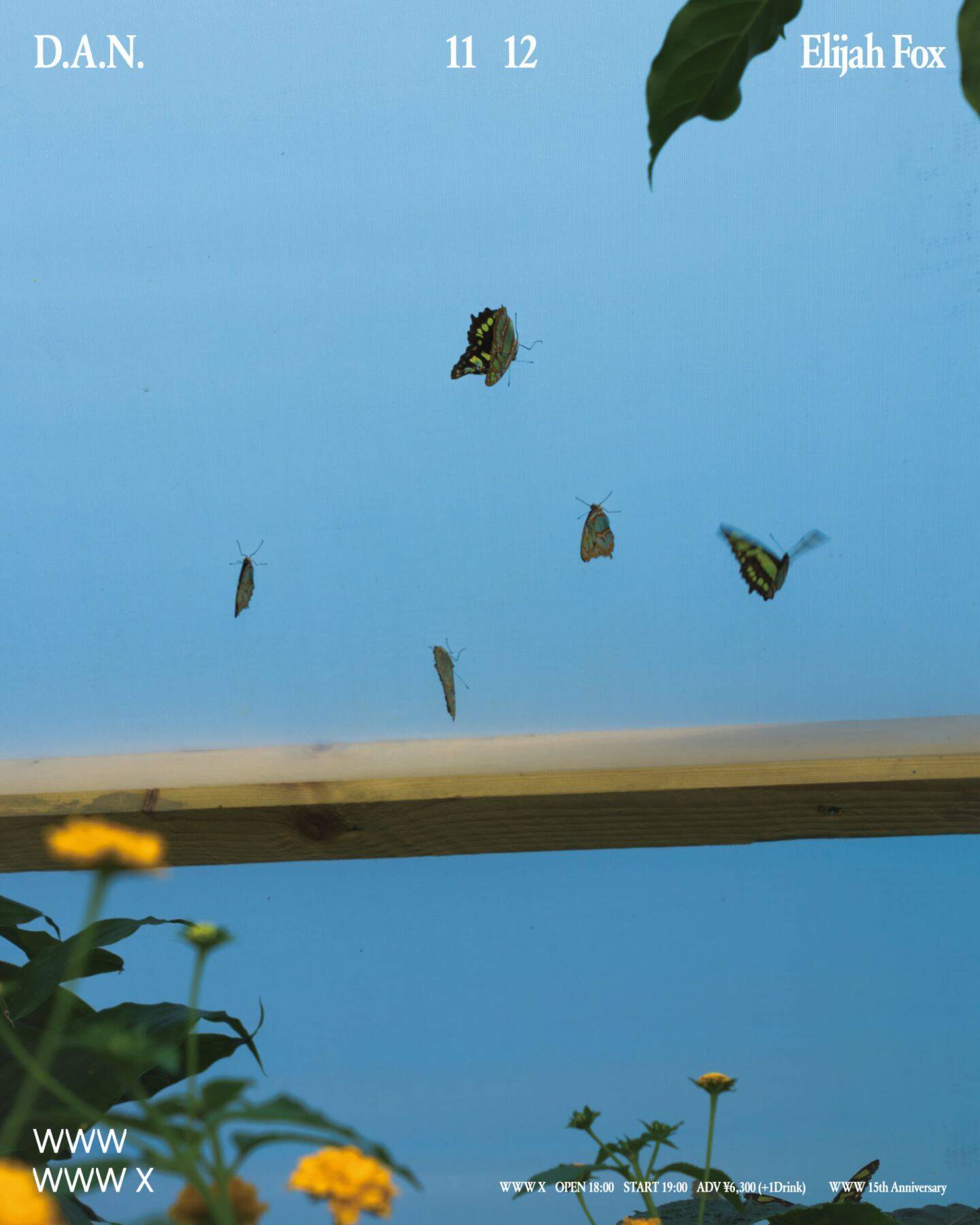 15周年を迎えるWWWがアニバーサリーシリーズのラインアップを発表 | マシュー・ハーバートやD.A.N.らの公演が決定