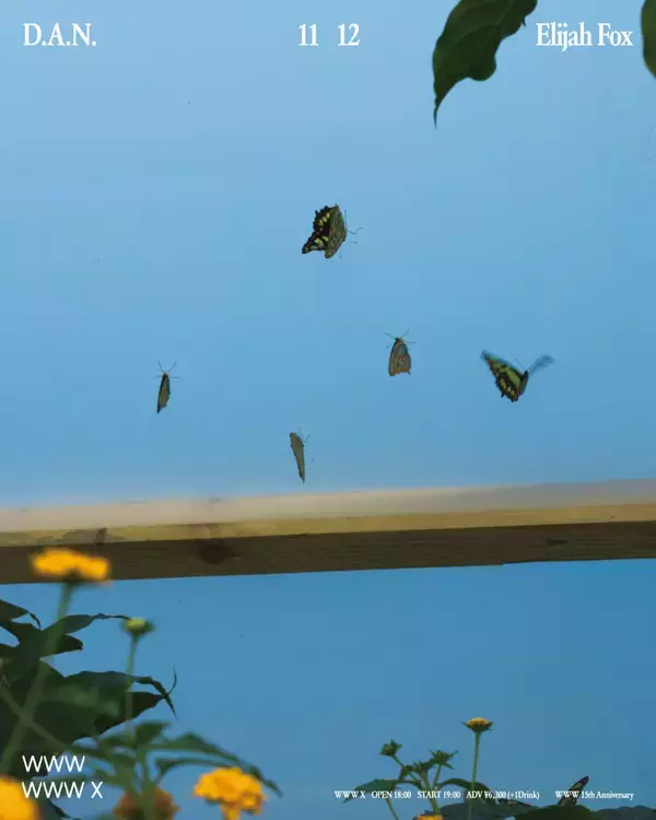 「15周年を迎えるWWWがアニバーサリーシリーズのラインアップを発表 | マシュー・ハーバートやD.A.N.らの公演が決定」の画像