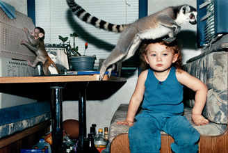 Tim Barberによる伝説的オンラインギャラリープラットフォームの設立20周年を記念した展覧会が東京と京都にて開催