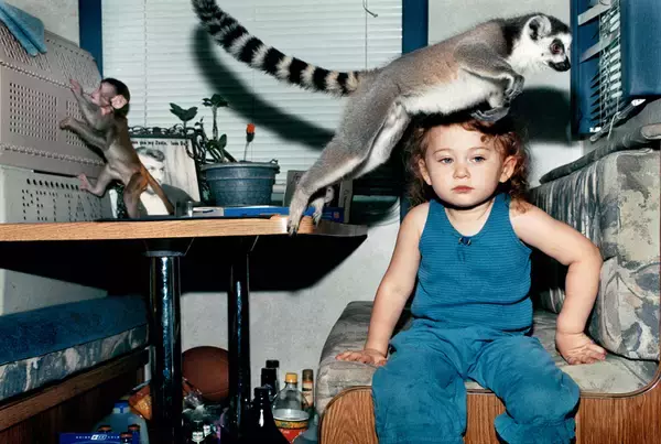 Tim Barberによる伝説的オンラインギャラリープラットフォームの設立20周年を記念した展覧会が東京と京都にて開催