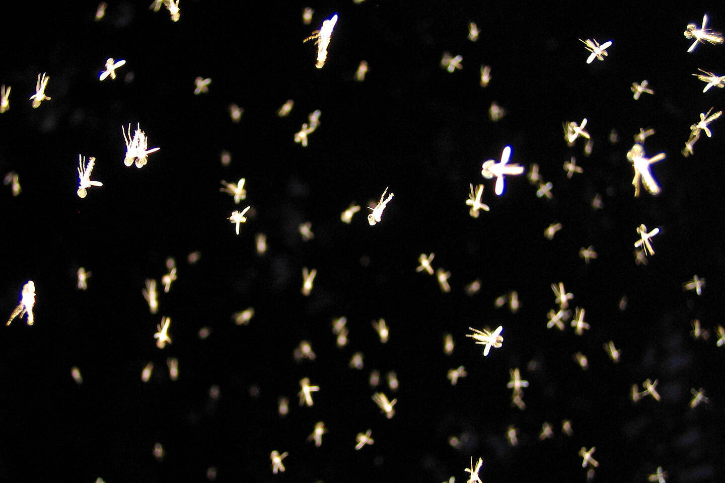 Tim Barberによる伝説的オンラインギャラリープラットフォームの設立20周年を記念した展覧会が東京と京都にて開催