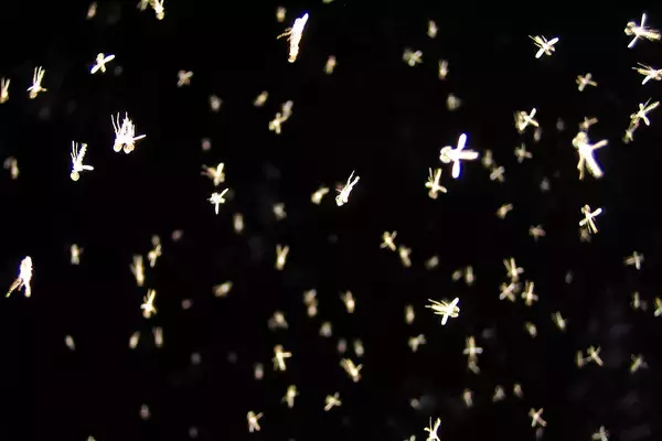 「Tim Barberによる伝説的オンラインギャラリープラットフォームの設立20周年を記念した展覧会が東京と京都にて開催」の画像