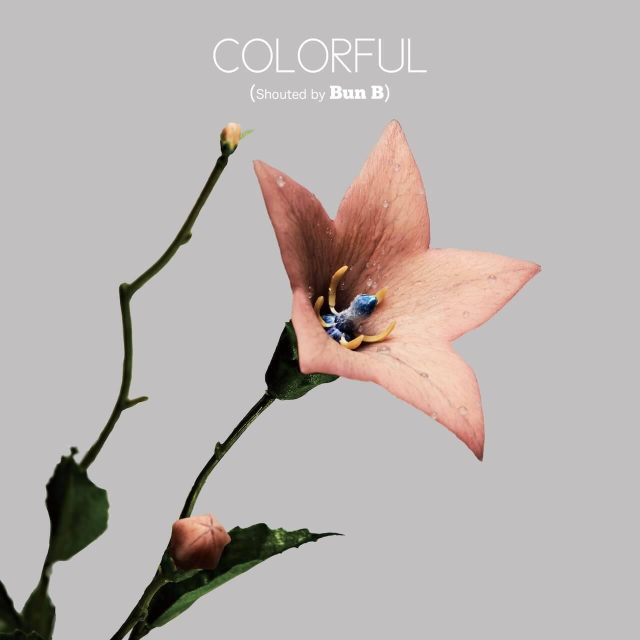 dooooの2ndアルバム『COLORFUL』がリリース＆全楽曲のアートワークが公開｜しばたま、Yohji Uchidaが制作に参加