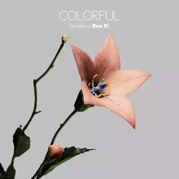 「dooooの2ndアルバム『COLORFUL』がリリース＆全楽曲のアートワークが公開｜しばたま、Yohji Uchidaが制作に参加」の画像