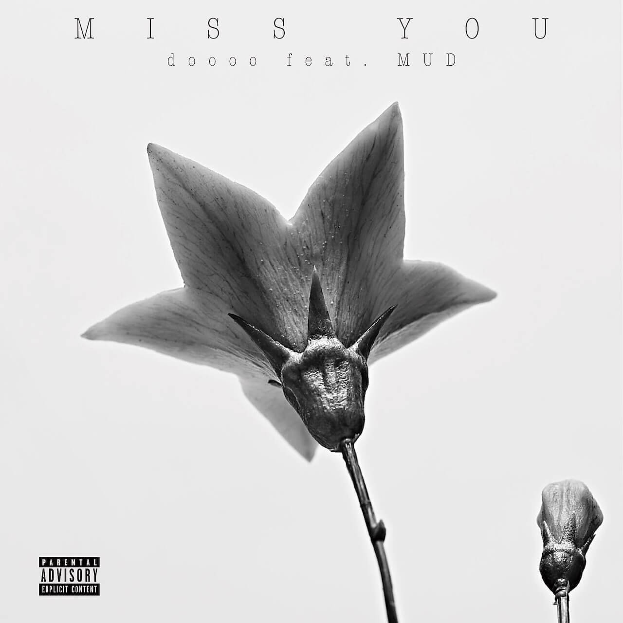 dooooの2ndアルバム『COLORFUL』がリリース＆全楽曲のアートワークが公開｜しばたま、Yohji Uchidaが制作に参加