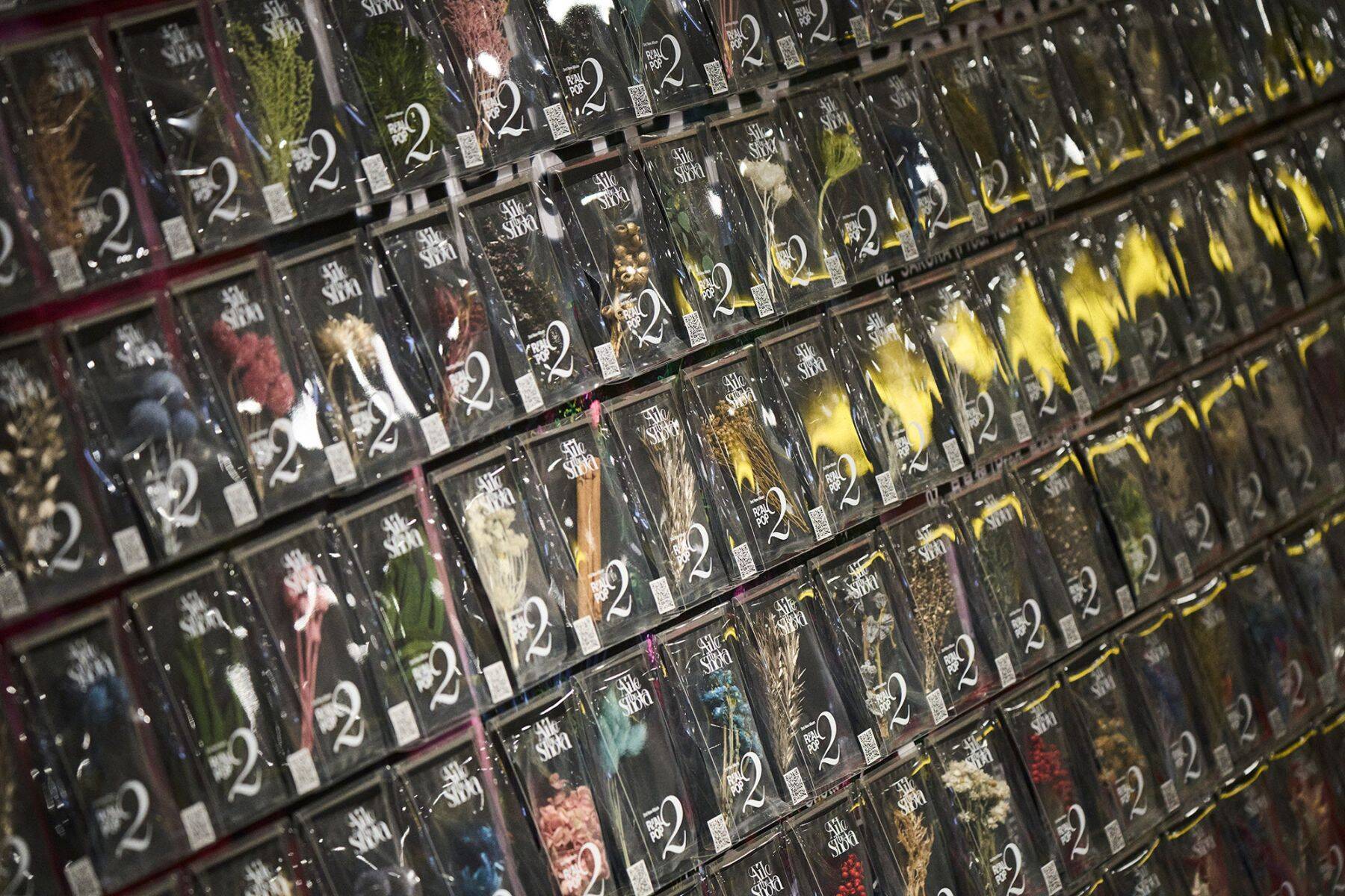 【COLUMN & REPORT】「Aile The Shota」はいま、どう語られるのか ── 開花宣言の目撃者