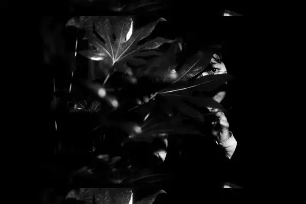 木村太一の最新ショートフィルム『Mu』がBOILER ROOMの「4:3」で世界同時公開｜Jin Dogg、Manami Usamaru、Soushiが出演