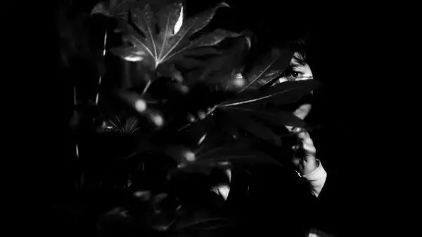 「木村太一の最新ショートフィルム『Mu』がBOILER ROOMの「4:3」で世界同時公開｜Jin Dogg、Manami Usamaru、Soushiが出演」の画像