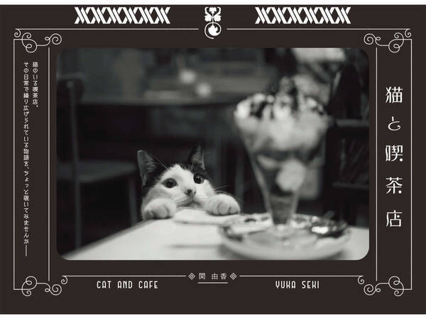 写真集 猫と喫茶店 が発売 珈琲時間 人気連載の書籍化 19年10月21日 エキサイトニュース