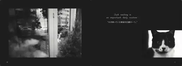 「写真集『猫と喫茶店』が発売｜「珈琲時間」人気連載の書籍化」の画像