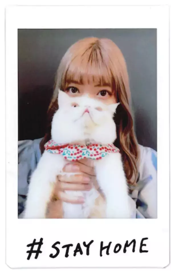 「チェキをおウチでDIY「壁に貼る」／古関れん」の画像