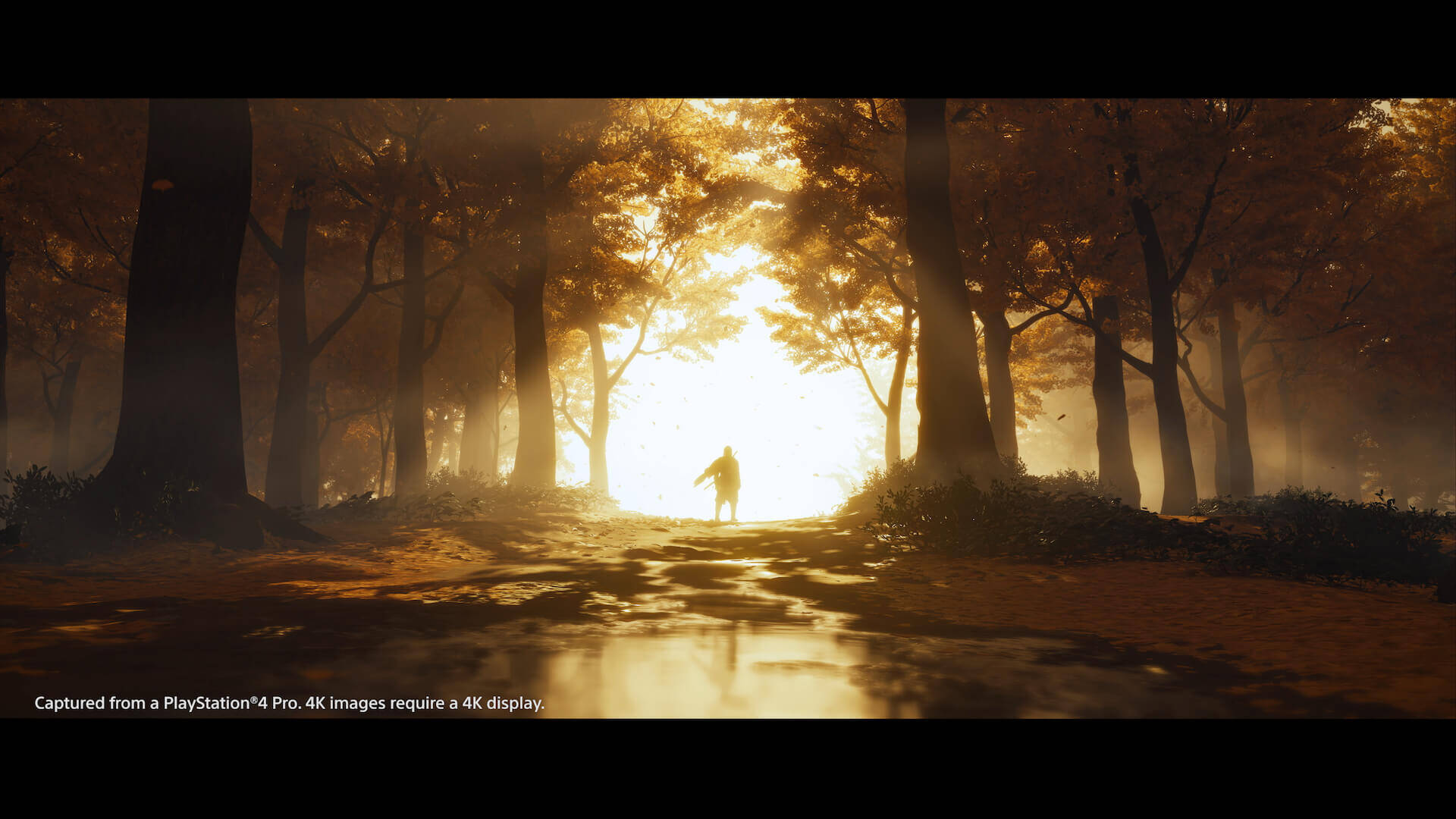 新感覚のオープンワールド時代劇を体感せよ！PS4専用ソフト『Ghost of Tsushima』がついに本日発売