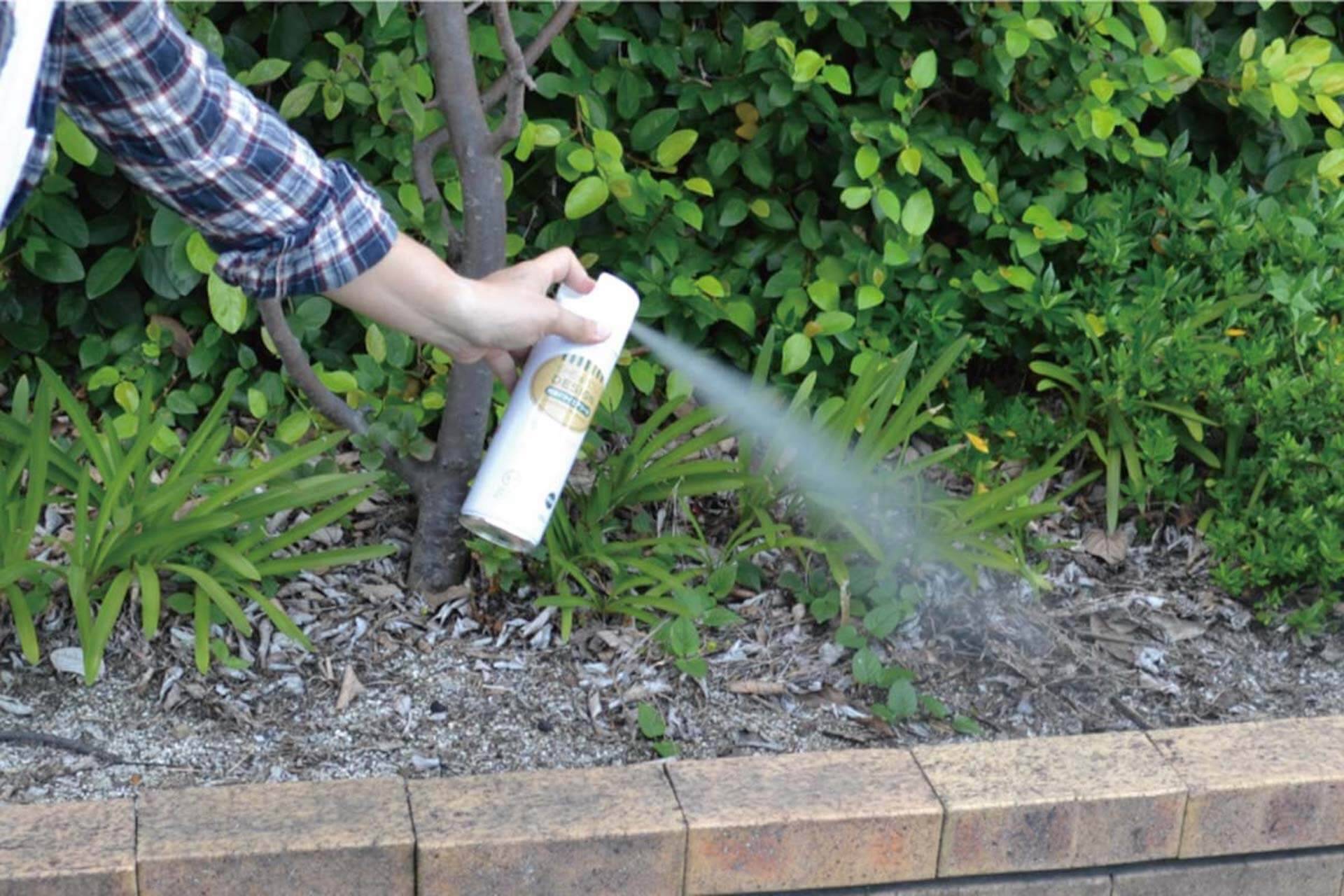 【最新・虫よけグッズ特集】スプレーや殺虫剤はもちろん、虫よけウェアまで！これからの季節におすすめしたいアイテムを特集